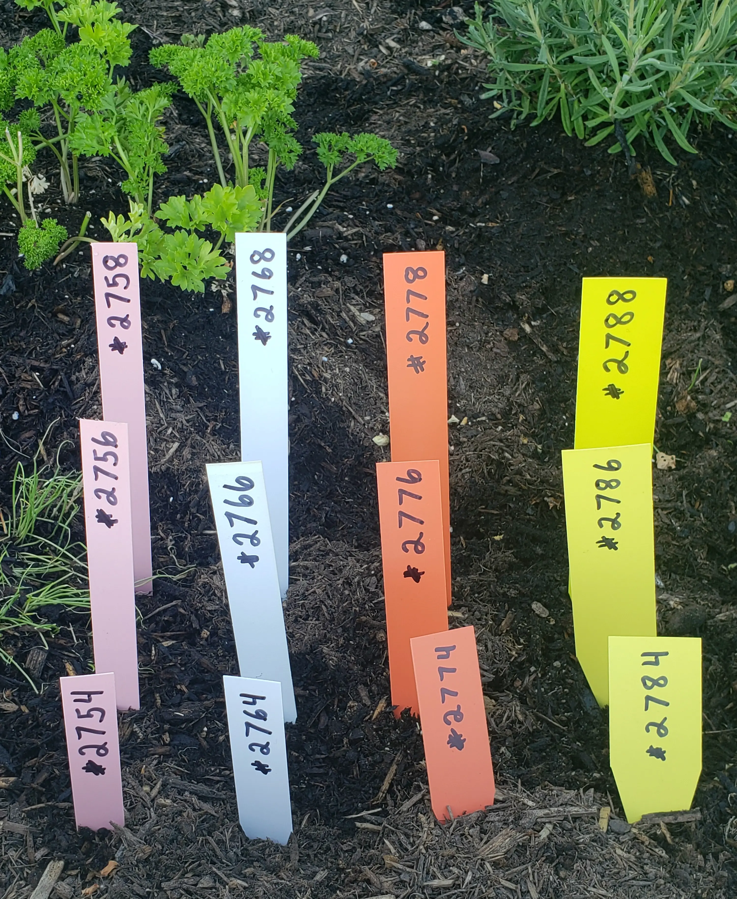 Plant Labels